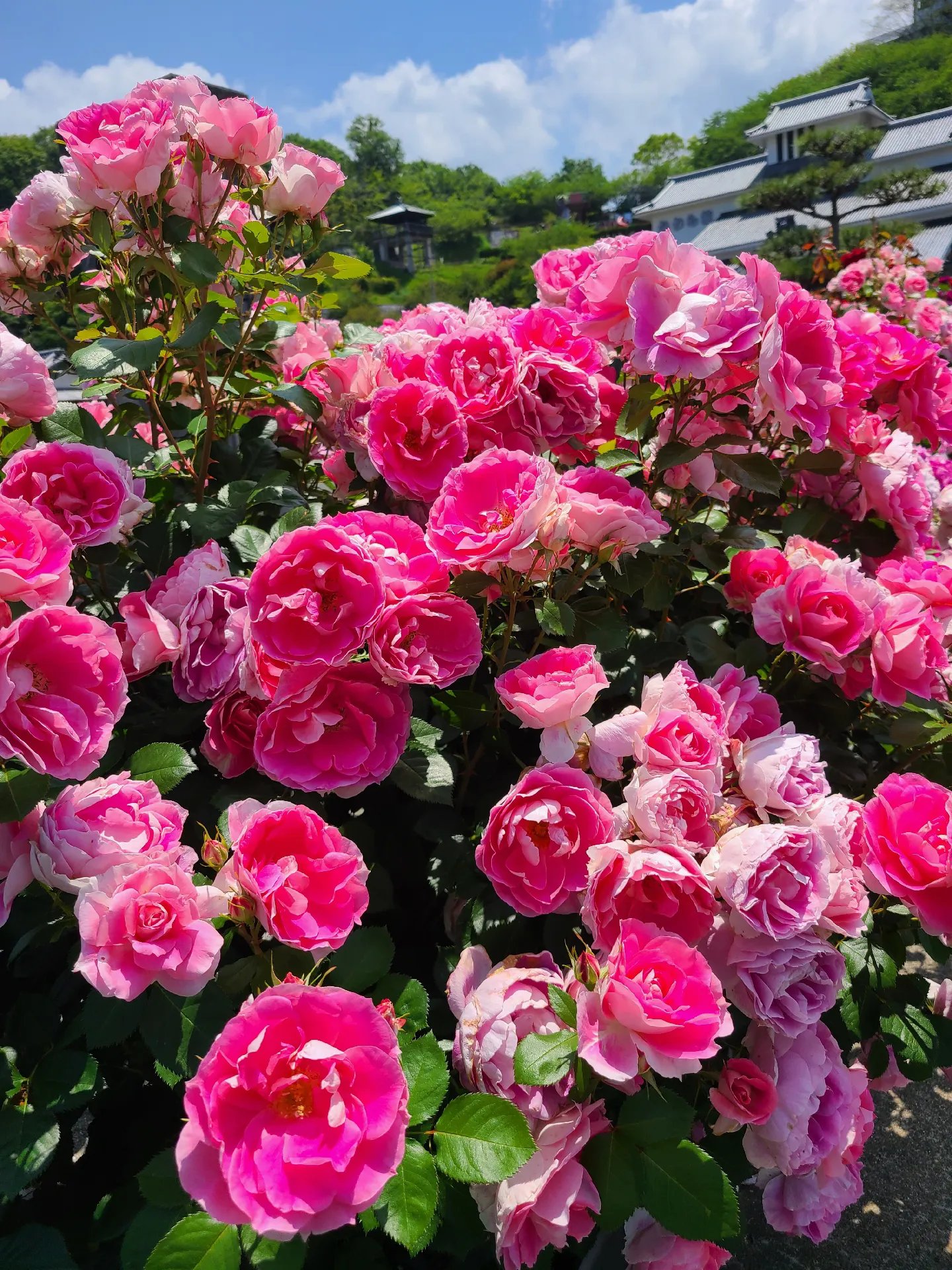 🏛️ 키쿠마 기와관(카와라칸) 이미지 13